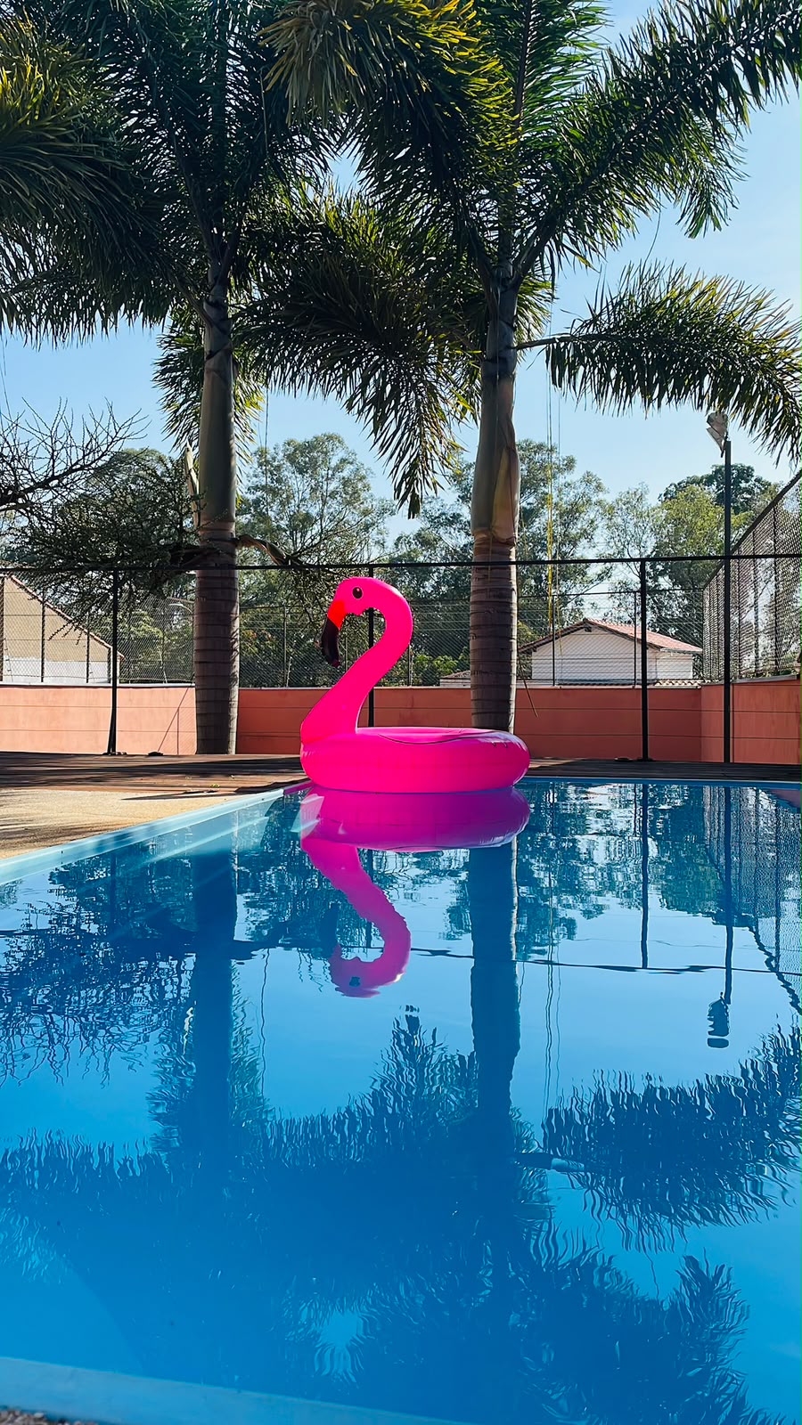 Piscina do Santo Bronze cercada por palmeiras, com uma boia em formato de flamingo.